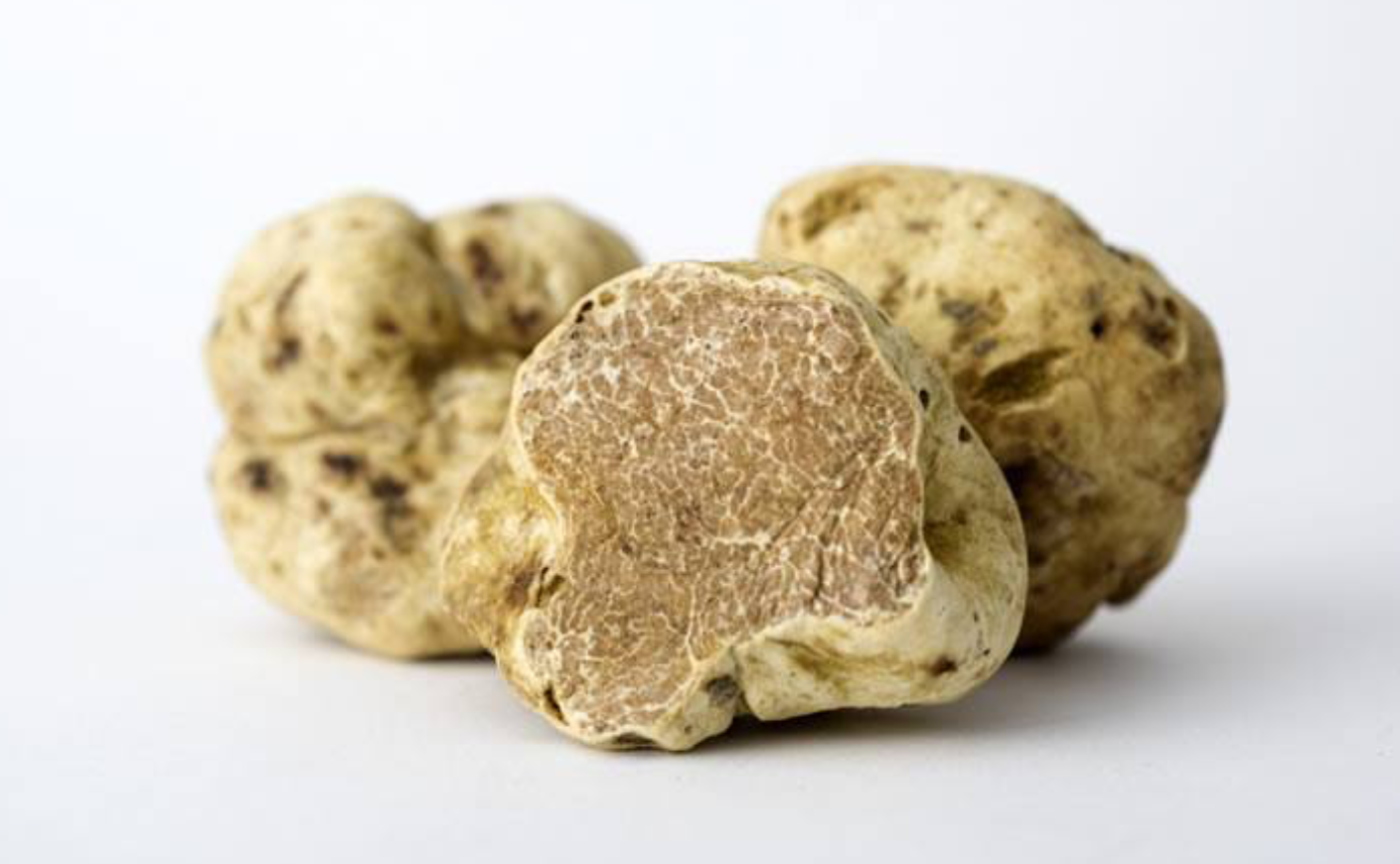 Tartufo Urbani
